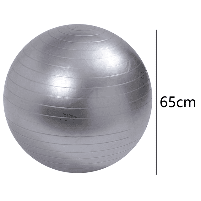 Exercise Ball for Physical Therapy, Swiss Ball Physio Ball for Rehab Exercises, Workout Fitness Ball for Core Strength, Yoga Ball for Balance & Flexibility，silver，frosted-65cm