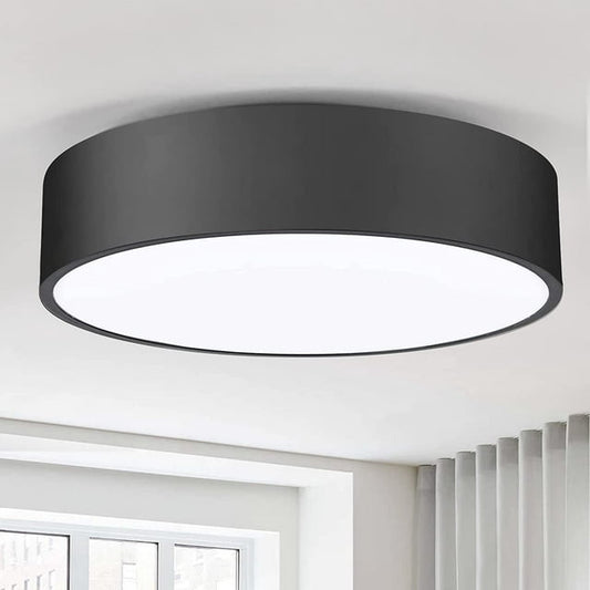 Round Black LED Flush Mount Ceiling Light Fixtures,11.8 inch,2-Light Close to Ceiling Lights,Glass Shade Industrial Ceiling Lamp for Hallway,Kitchen,Bedroom,Bathroom,Hallway,Apartment